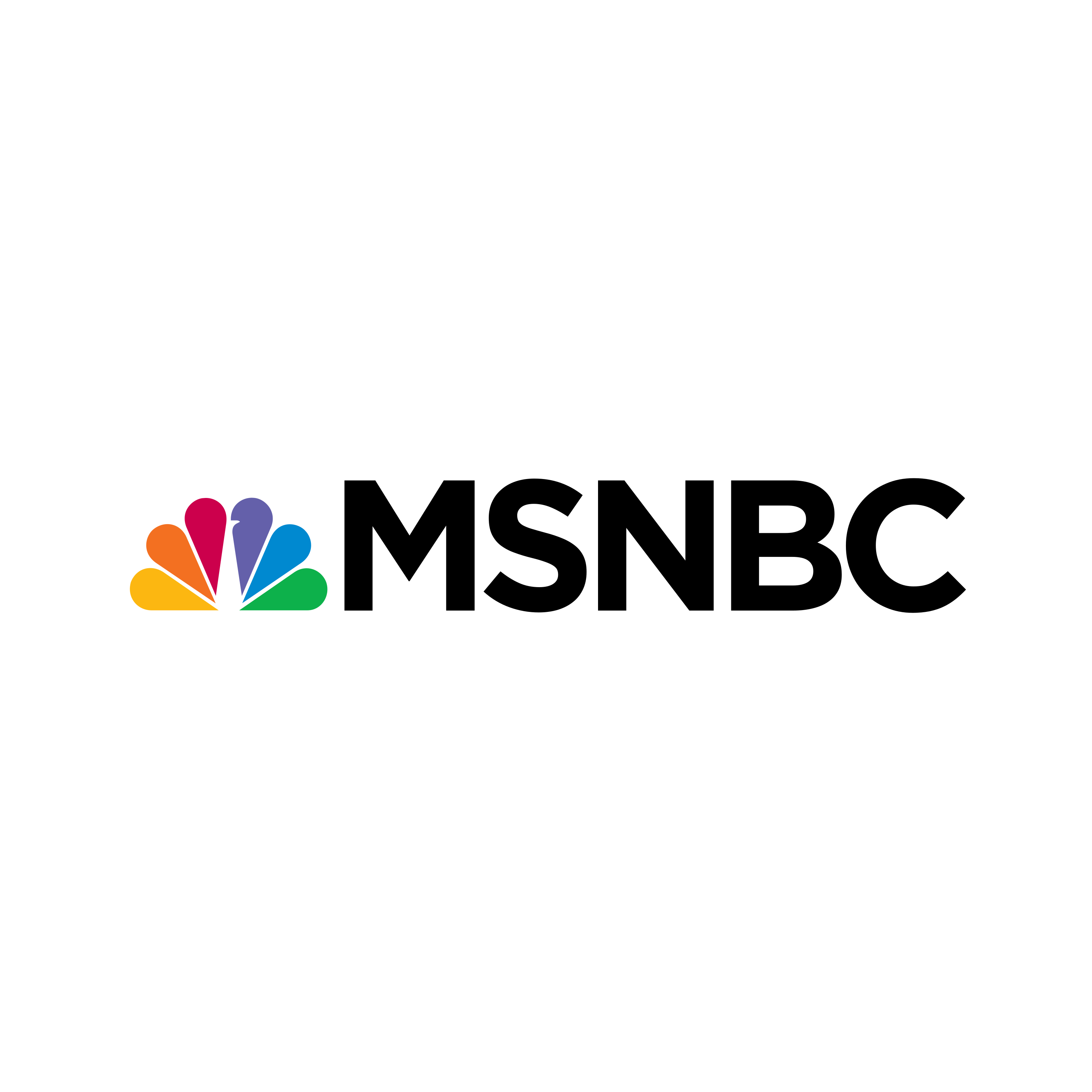 MSNBC-Logo.wine-2